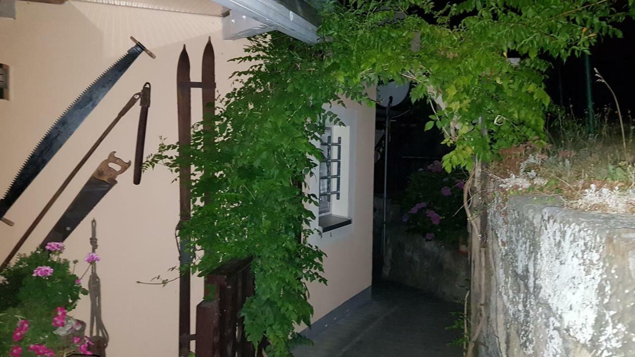 Prossen Ferienwohnungen "Gruendelrast" מראה חיצוני תמונה